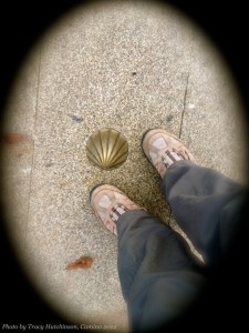 Scallop shell on the Camino